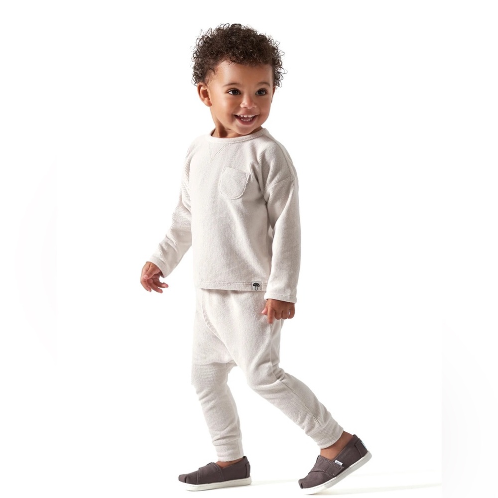 Modern Moments by Gerber Baby Boy Long Sleeve Velour Top & Pant Outfit Set